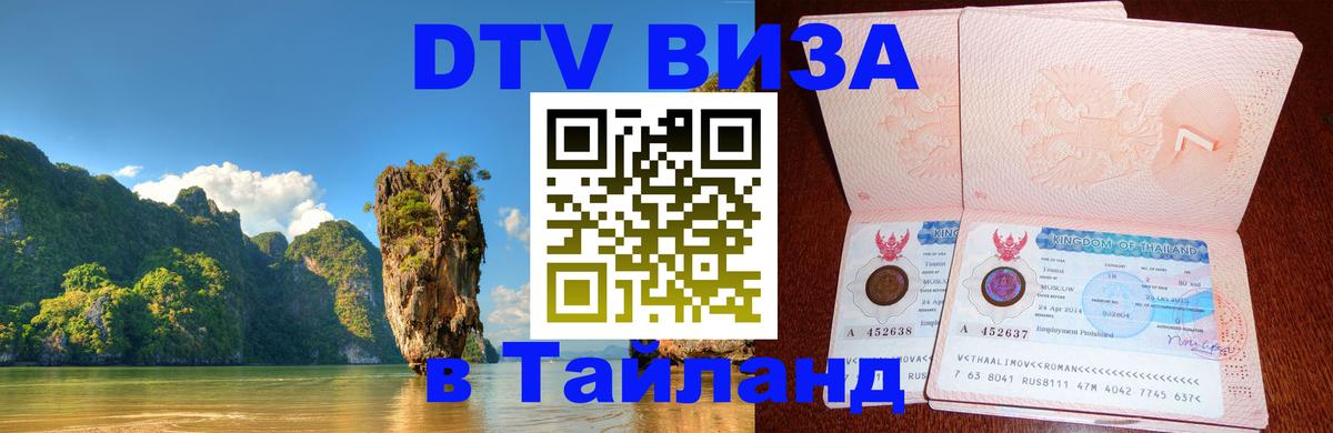 Оформление DTV визы под ключ: стоимость и тарифы, только загранпаспорт - Новочебоксарск  20.11.2025 